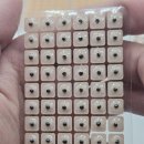 귀지압패치 추천 SOLCHANHI 귀 지압패치 이침 600PCS 후기!!!