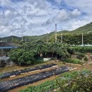 완도읍-2 이미지