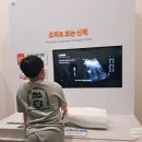 형제전문정비 | 원주 아이와 가볼만한곳 국립강원전문과학관 특별전시까지 만족했던 과학관