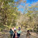 강원특별자치도청어린이집 이미지