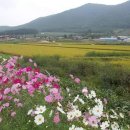 부건농장 이미지