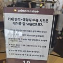 비타히어로 | 나의히어로아카데미아 애니메이트 콜라보 카페 후기(나히아카, 히로아카)
