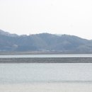 금강철새조망대 이미지