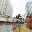 퀸덤 1차 아인슈타인 이미지