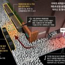 더 헤밀톤 호텔 이미지
