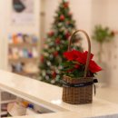 우리메디의원 이미지