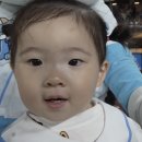 하솜