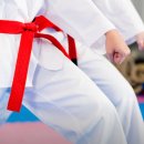 용인대박사백호태권도장 이미지