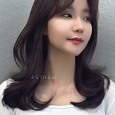 동물병원루니 | 나도 드디어 머리 할 때가 왔지! 아스트룸헤어 정착 각 잡은 썰 풉니다