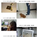 컴퓨터 실생활 활용 이미지