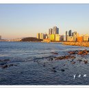 송정해변길 이미지