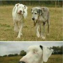 민트동물병원 이미지