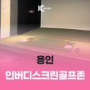 버디스크린골프 이미지