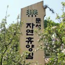 문성자연휴양림 이미지