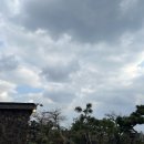 날외15 | 제주도 서귀포 감성카페 날외15 방문후기 수제요거트와 카야토스트가 맛있는곳!