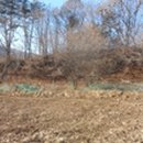 무릉도원면-27 이미지