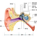 온기한의원 이미지