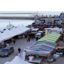 거제대구수산물축제 이미지