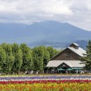 문화와 함께하는 여행 일본어 이미지