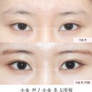 서연성형외과의원