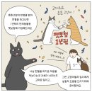 한국고양이혈액센터 이미지