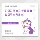플레이펫 이미지