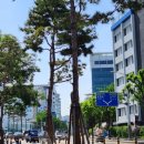 (주)진양엘리베이터 - 수원시 권선구 | (주)진양엘리베이터