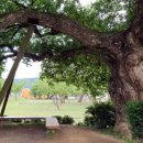 성밖숲정보센터 이미지