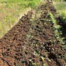 정주네농장 이미지