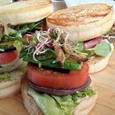 로뎀나무아래 이미지