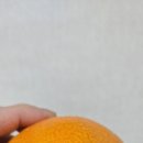 동래메가약국 이미지