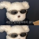 와르르맨션 이미지