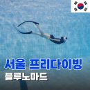 서울 프리다이빙 자격증 강습 비용부터 준비물까지 블루노마드 입문 체험 후기