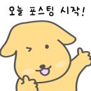 다복콩국수&보쌈