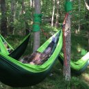 싱그러운청도로(여름) 이미지