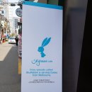 스카이래빗 홍대점 이미지