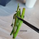 한재미나리와삼겹살거리 | 왕십리역삼겹살맛집 미나리도야지 한돈생삼겹에 한재미나리 제대로 먹은 후기