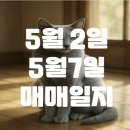 한국케미칼 | 키움보상후기 - 비에이치아이, 애경케미칼, 대보마그네틱 주가 상승, 상따매매
