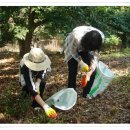 정안밤톨이정보화마을 이미지