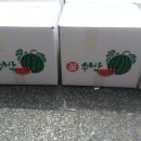 유림청과 이미지