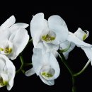 연수2동주민센터 이미지