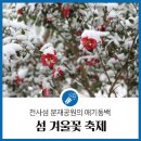 1/1~3 [전객실트윈] 꿈의 엘도라도리조트오션뷰,신안겨울꽃축제&amp;애기동백,국내최대난대 완도수목원,청해포구,청해진유적지장도,완도,해남여행 이미지
