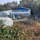 금산흑염소 - 서대문구 | 금산흑염소