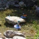 수주농원 이미지