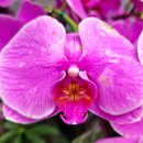 개나리공원2 이미지