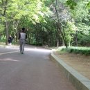 아람이네 이미지