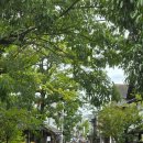 펀펀투어여행사 - 강남구 테헤란로 123 | [솔직후기] 유후마부시 신(心) 긴린코 본점