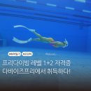 학수정데이케어센터 | 프리다이빙 레벨2 자격증 내돈내산 취득후기 with.다비이즈프리