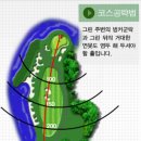 소피아그린 이미지