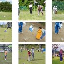 골드그라운드 이미지